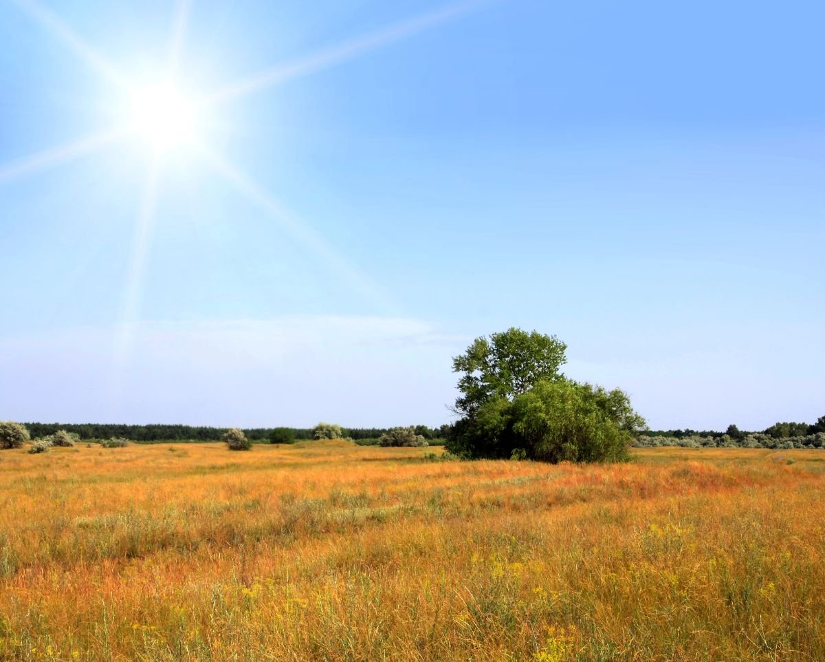 Field illuminated by sunshine.