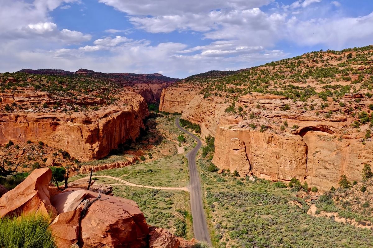 Road through the canyon.