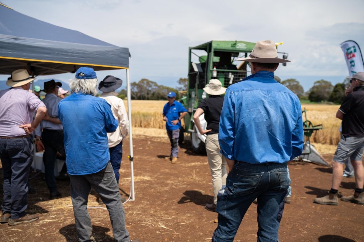 Group of farmers learning about crop health.
