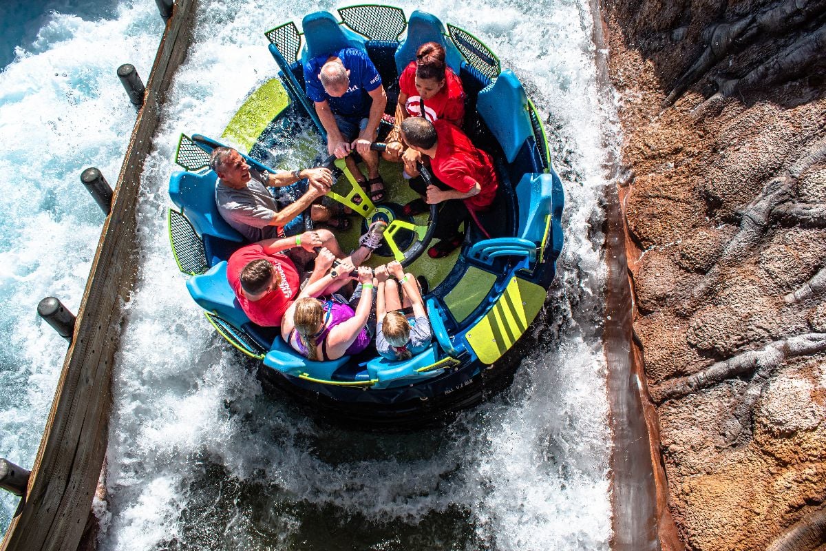 Top view of people having fun at Seaworld.