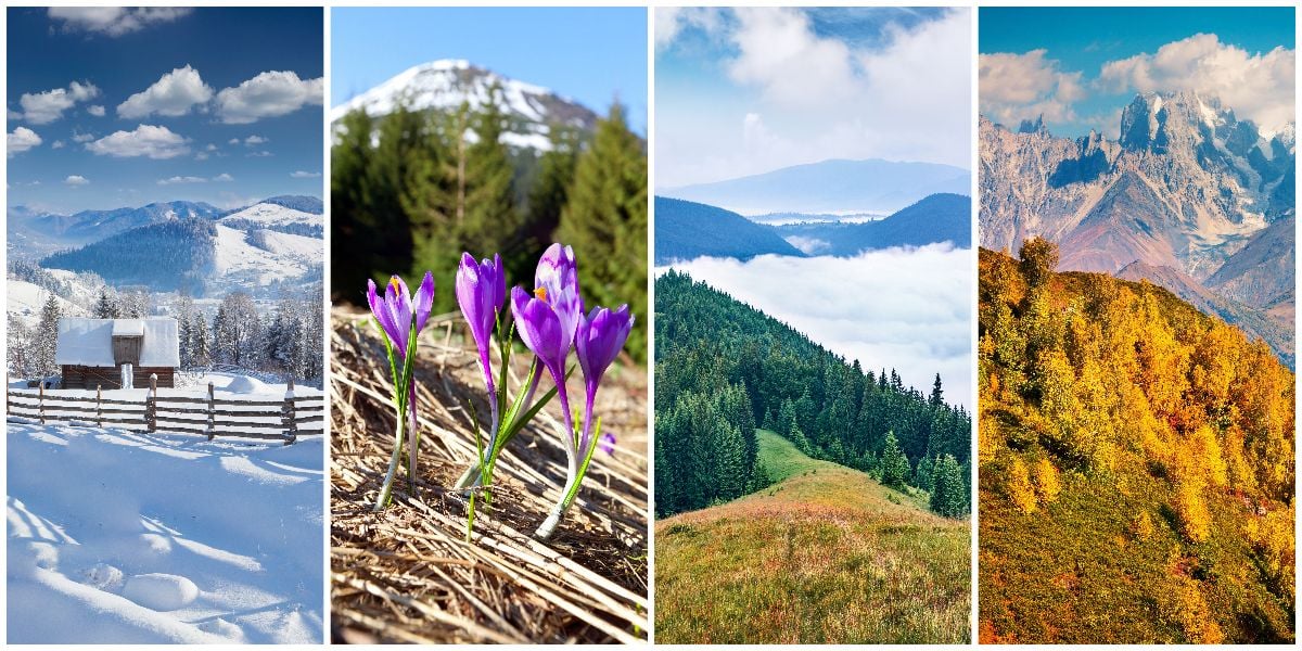 Collage of four seasons landscapes. 
