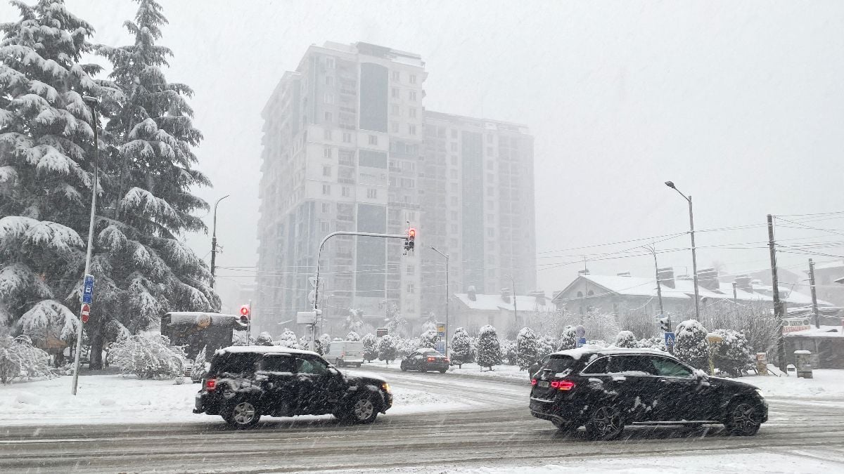 Snowy city intersection with cars, traffic lights, tall buildings, and snow-covered trees during heavy snowfall.