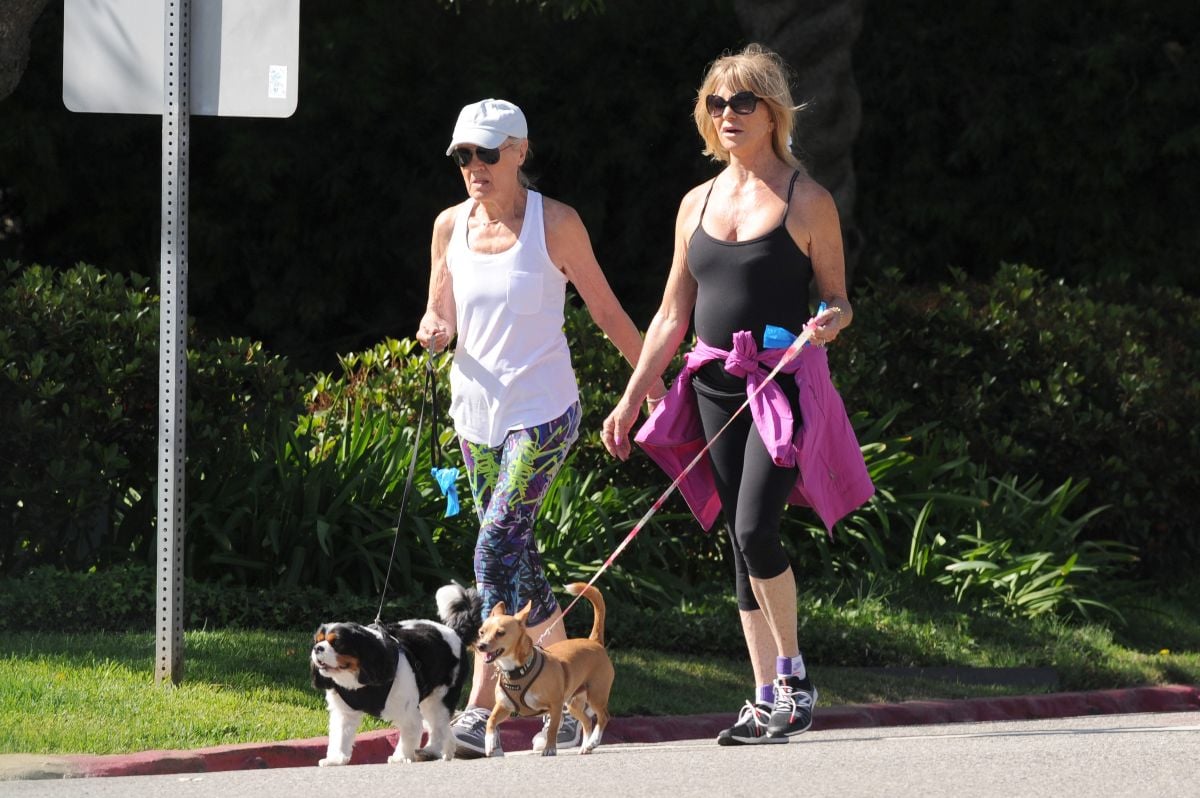 Goldie Hawn walks her dog.