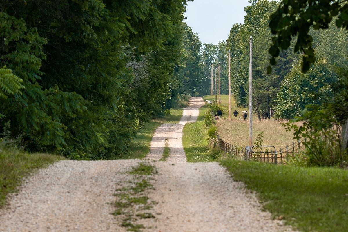 A gravel country road rolls up and down the hilly landscape of rural southern Missouri.