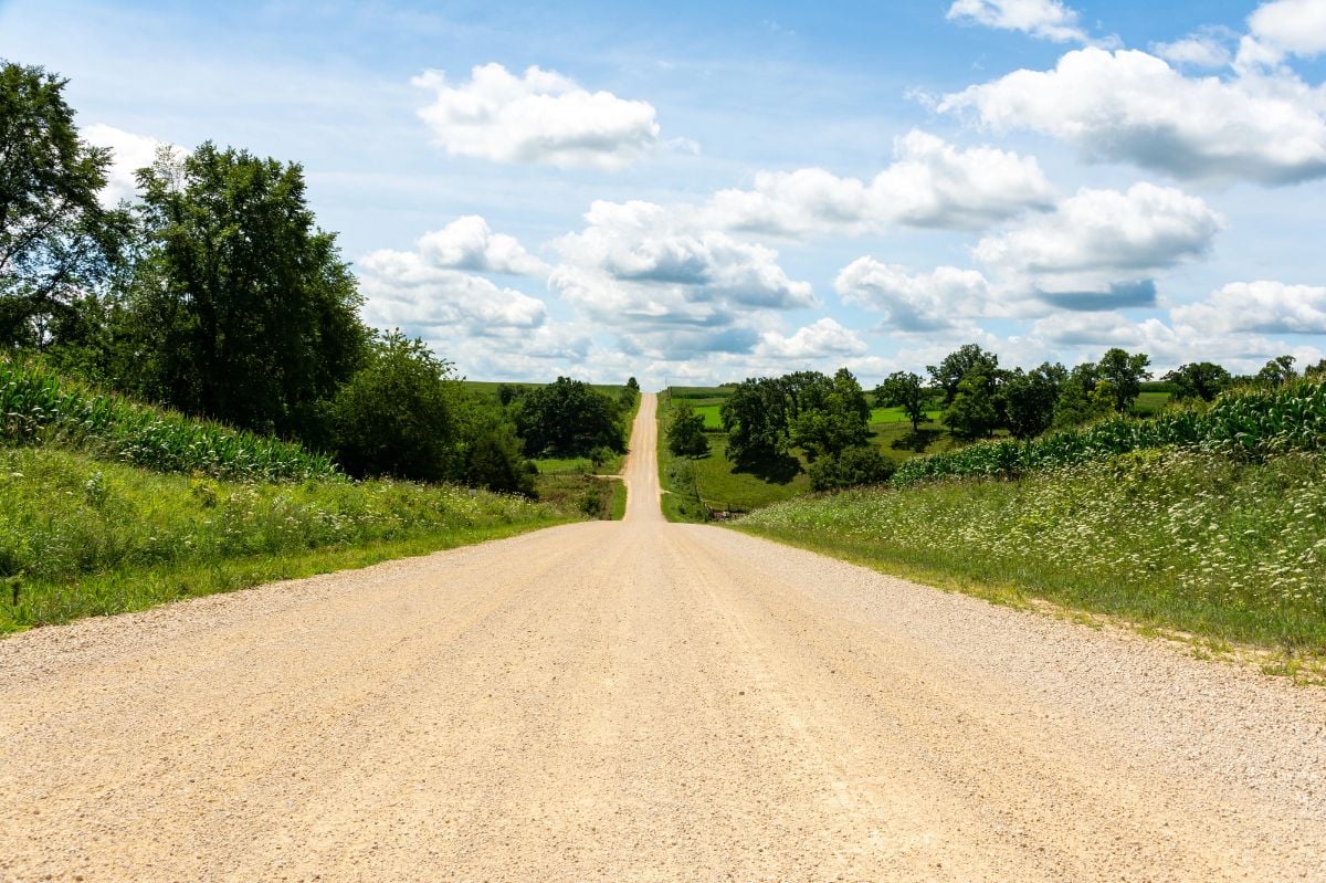 Dirt road in the Iowa countryside on a hot summer day.