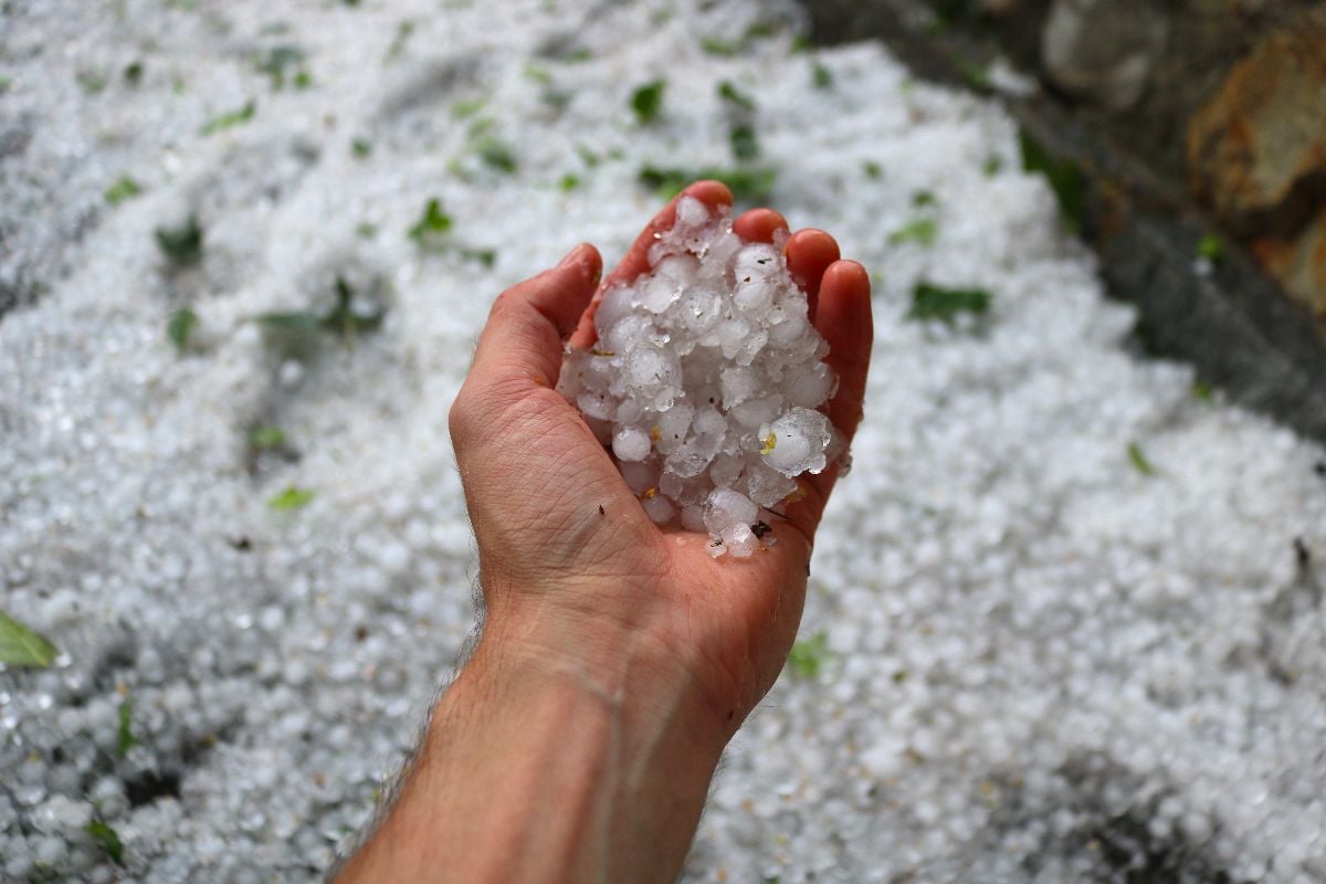 Open hand holding hailstones after hailstorm.