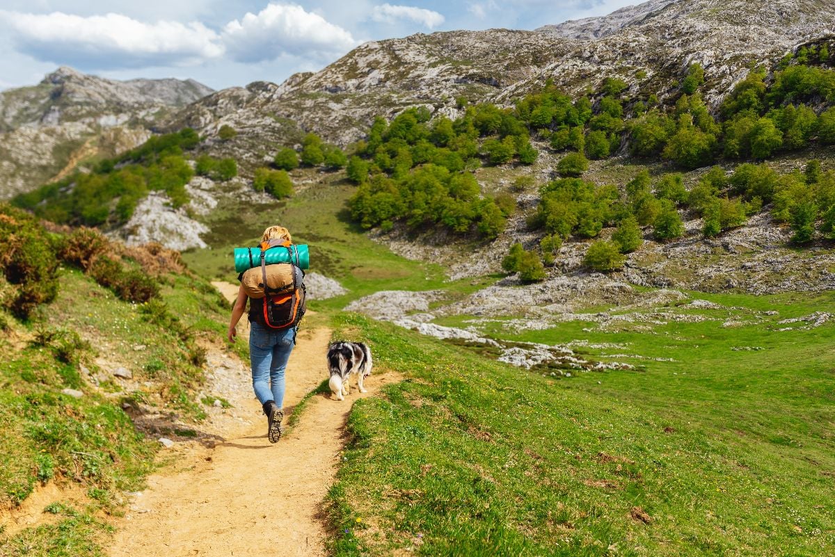 Hiker woman equipped with a backpack, sleeping bags and bivouac mat, walking with her dog up the mountain.