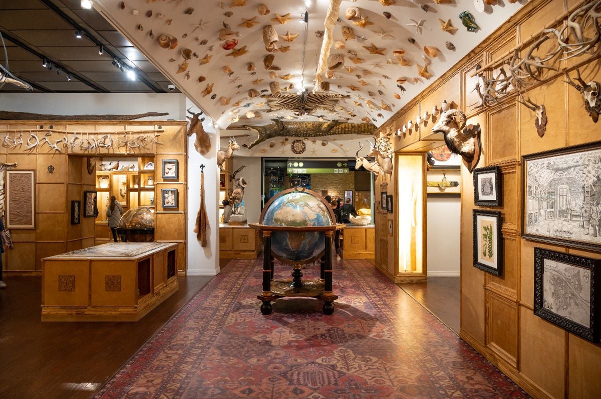 Exhibits at the Houston Museum of Natural Science.