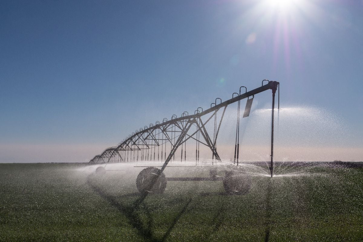 A center-pivot sprinkler irrigates wheat fields in drought-stricken western Kansas.