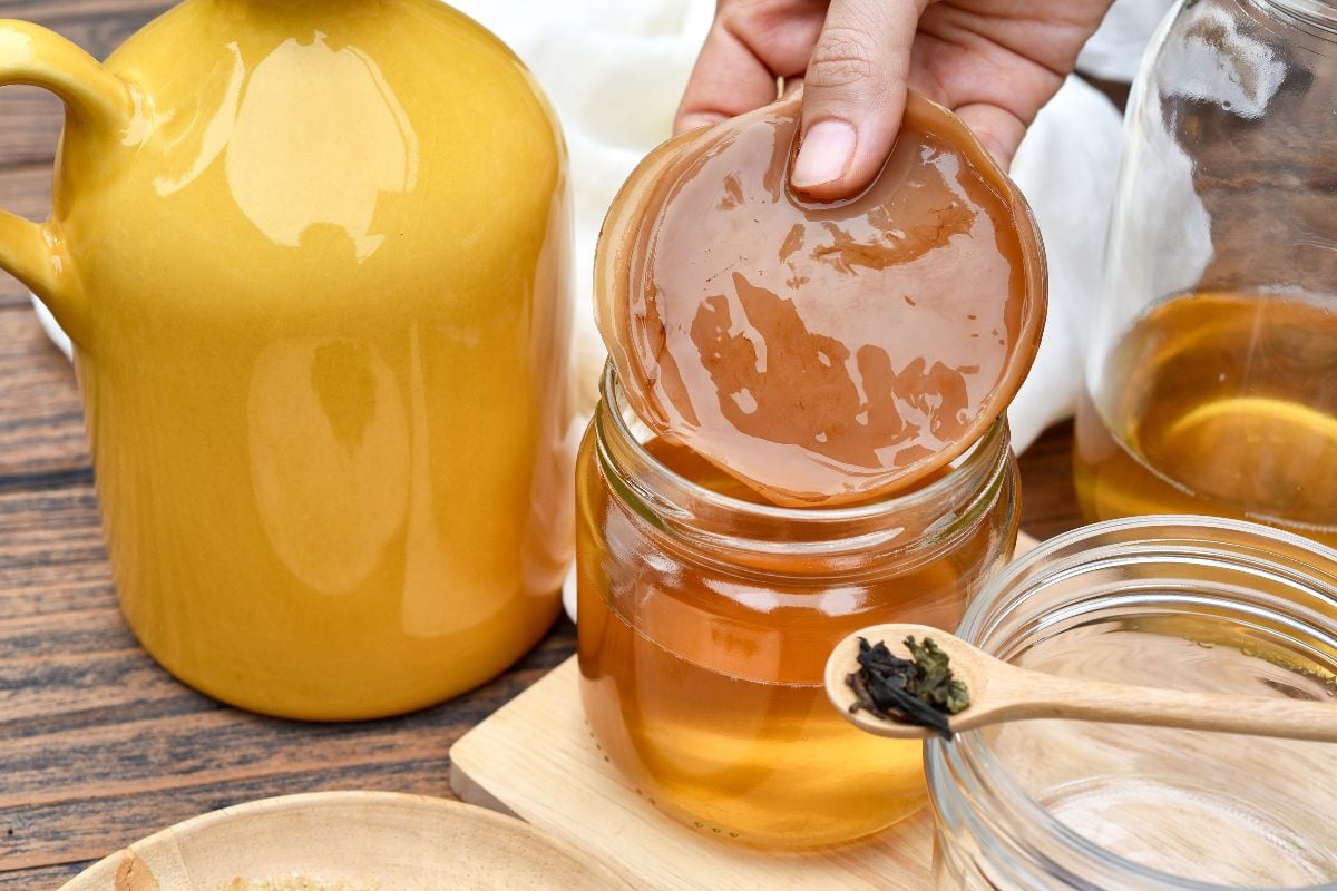 Hand holding tea mushroom with kombucha tea.
