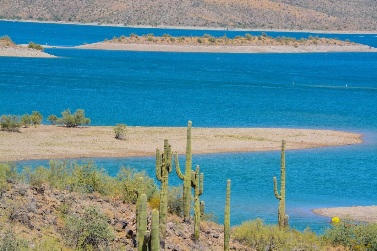 Lake Pleasant with cactus.