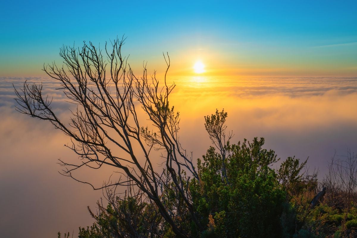 Marine layer above the Pacific Ocean at sunset.