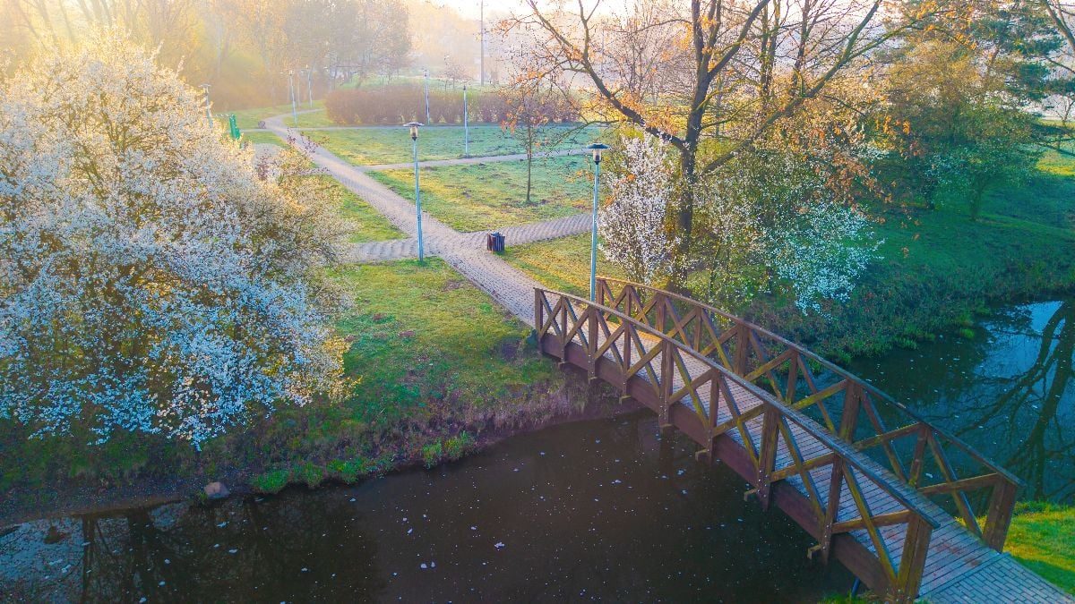  A morning view of the park bathed in the rising sun.
