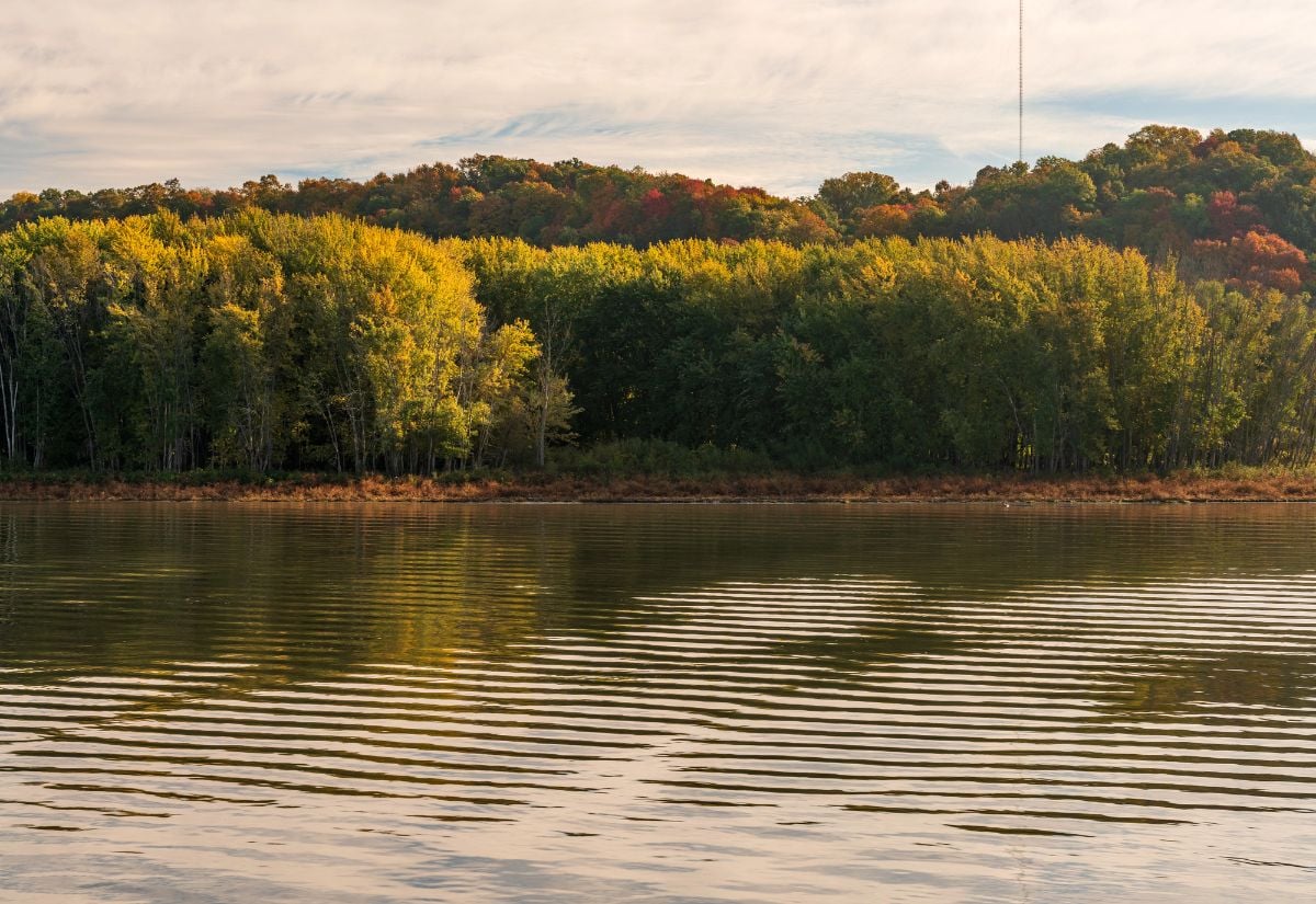 Ripples in calm surface of the Upper Mississippi reflecting fall colors near Dubuque Iowa.