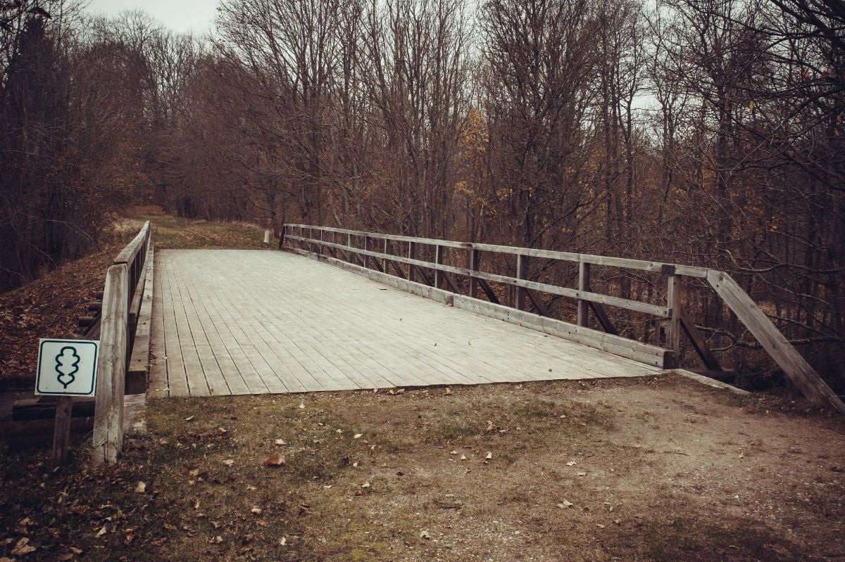 Wooden plank bridge