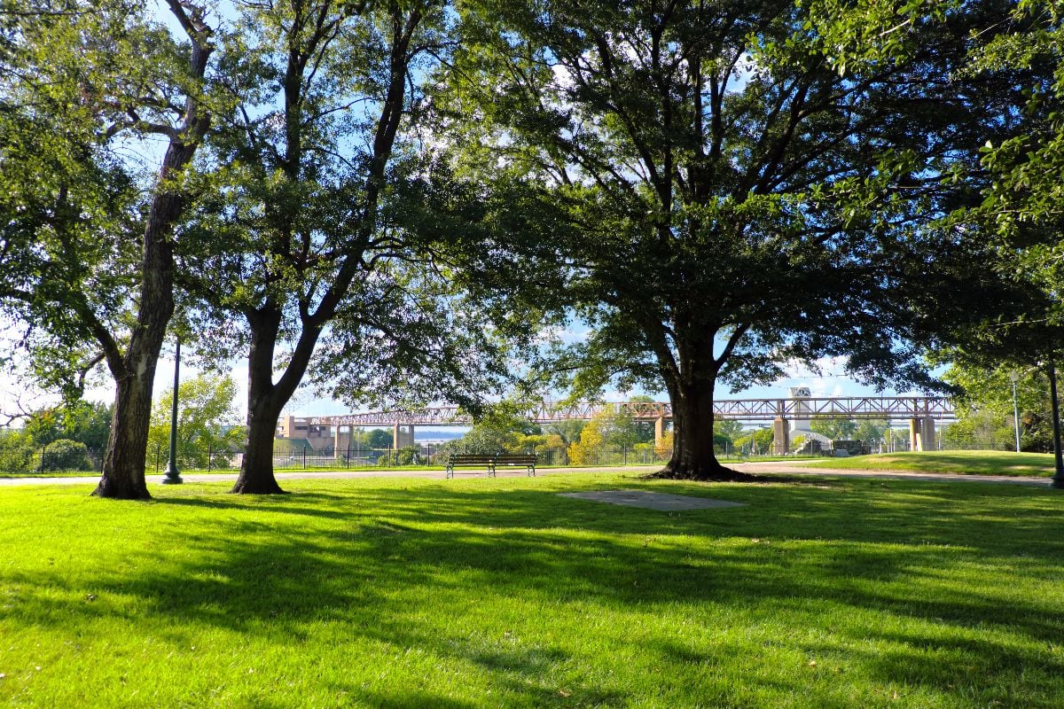 Trees and green grass field in public park in Memphis.