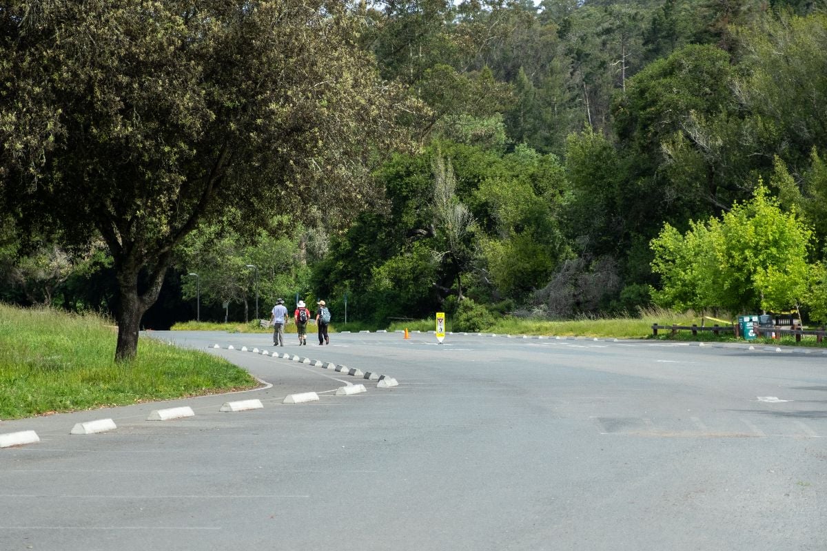 Two hikers walk side-by-side on a paved road flanked by trees in a wooded area near Mission Peak, Fremont.