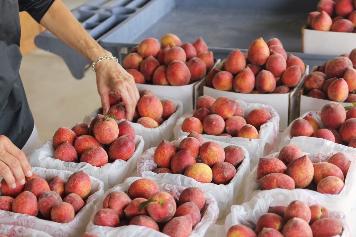 Peaches on pop-ups