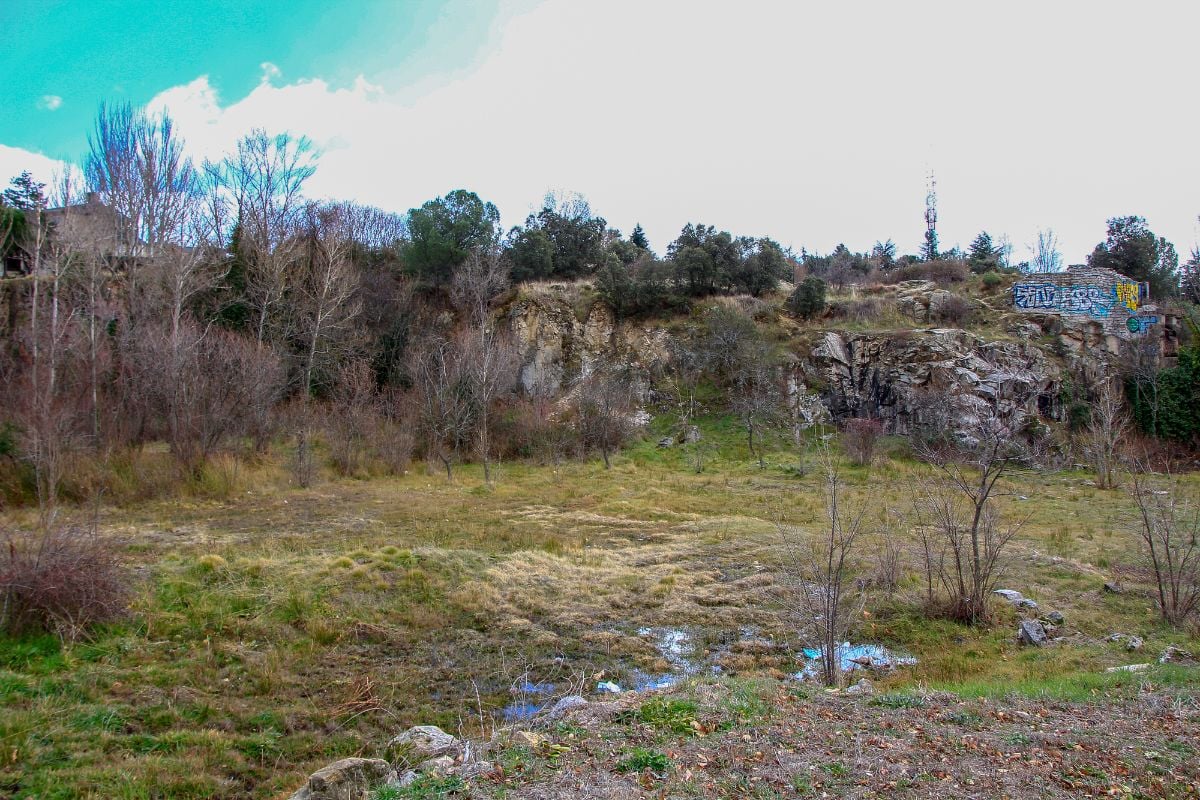Lowland landscape with bushes and trees rocks.