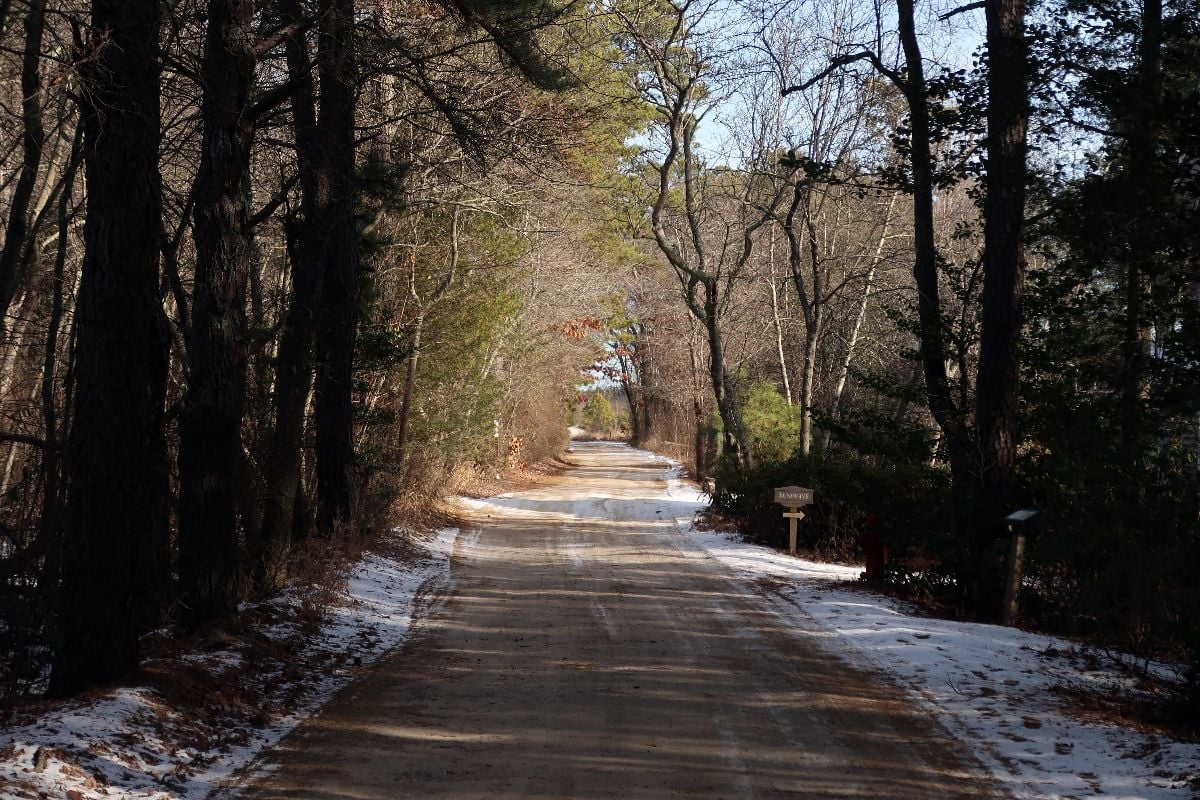 Deserted road in the Pine Barrens.