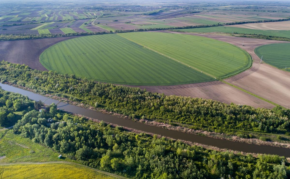 Irrigation system in wheat field.