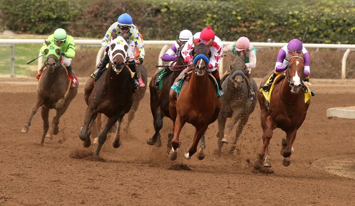 Head-On Racing Action