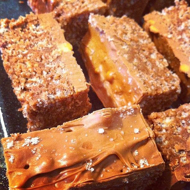 XXX Chocolate Scotcheroos