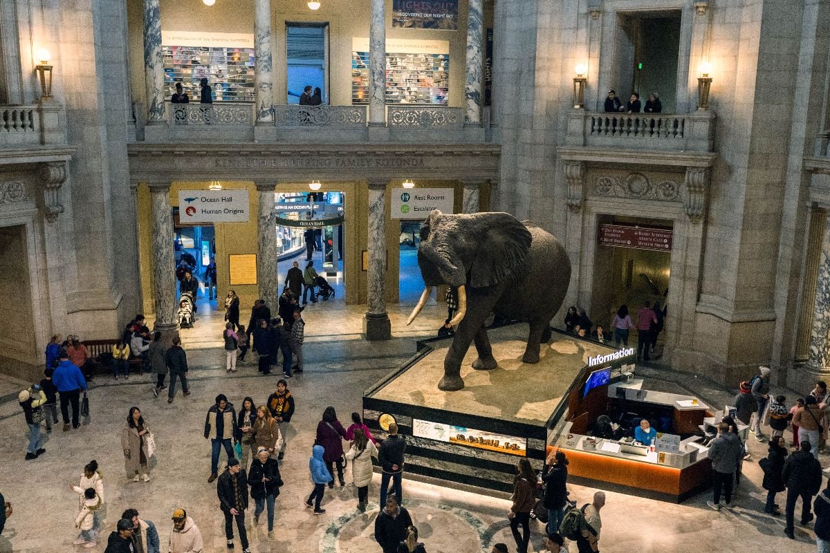 Interior view of the Smithsonian National Museum of Natural History.