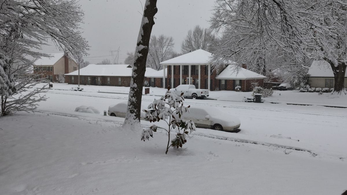 Neighborhood street view after snow.