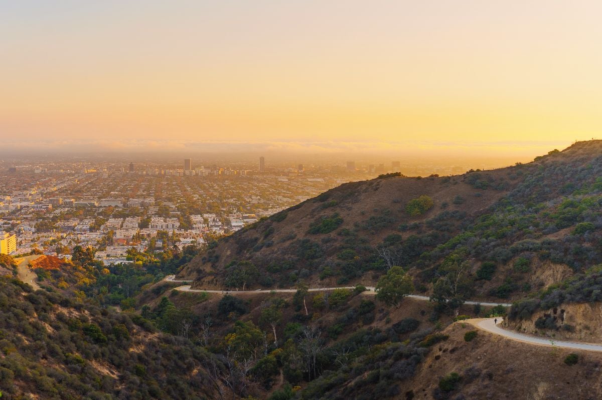 Hikers traverse winding trails at Runyon Canyon Park during golden hour.