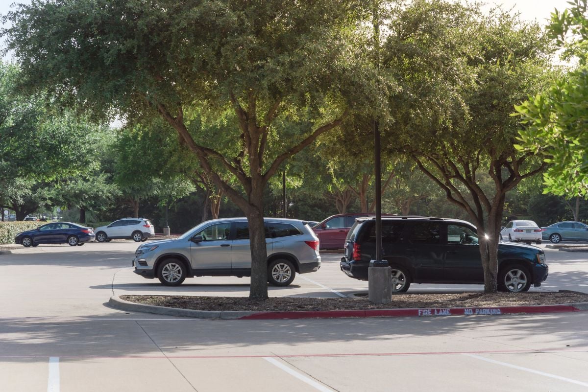 Cars parked under the tree shade.