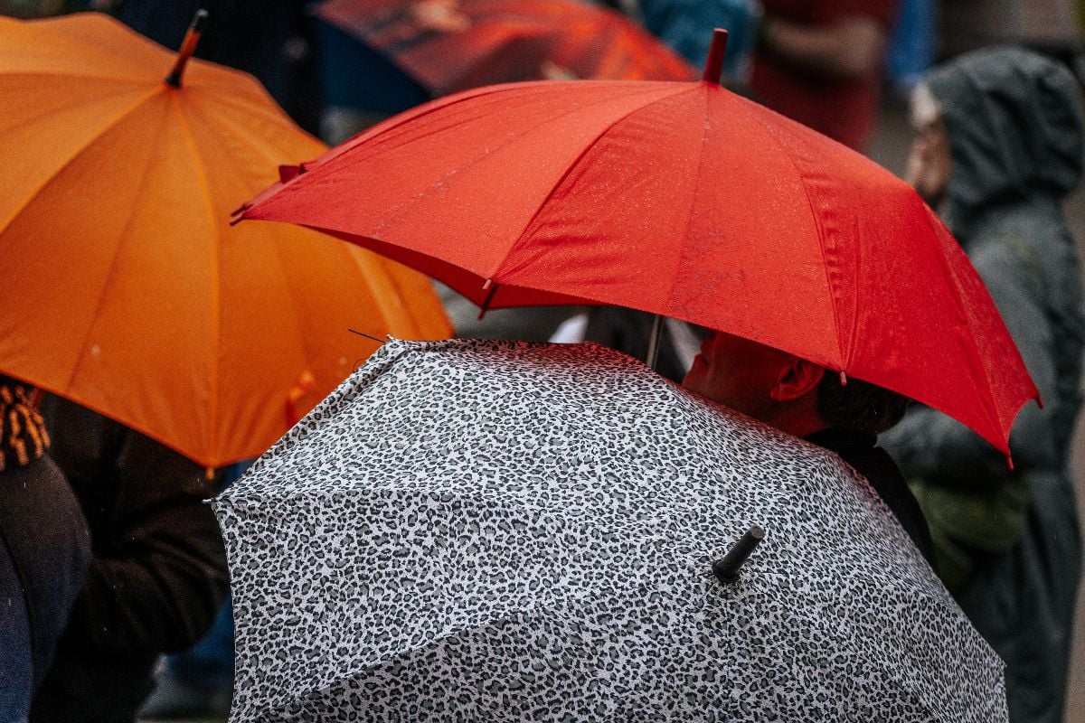 People in raincoats and under umbrellas on a rainy day.