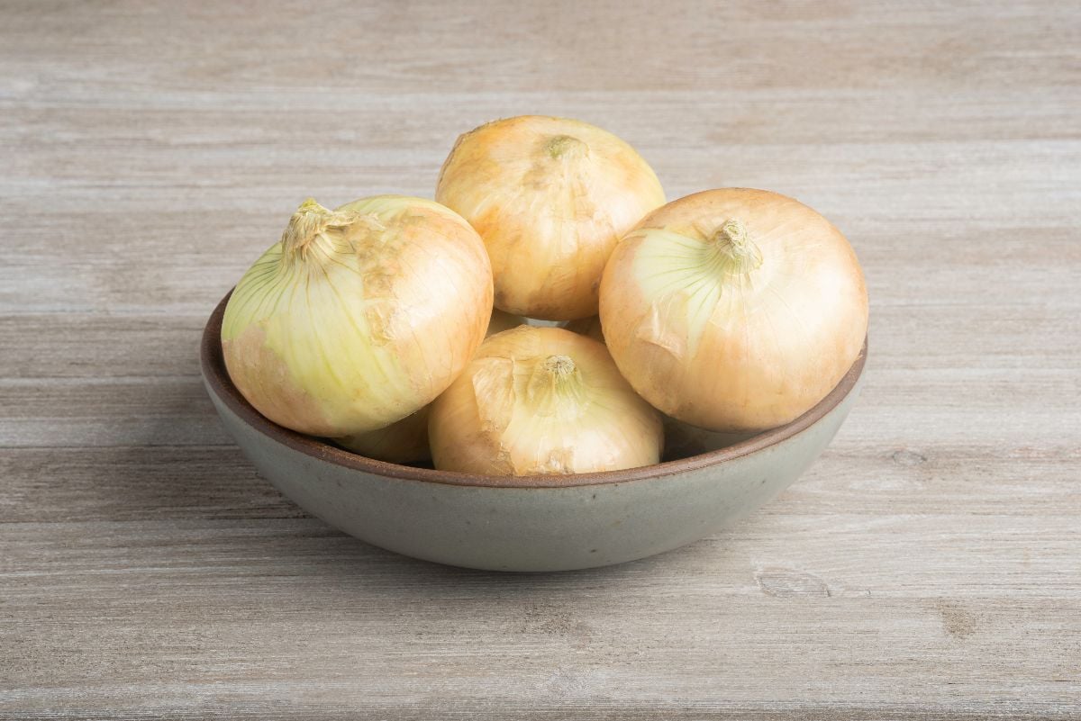 A bunch of authentic southern sweet white onions on a bowl.