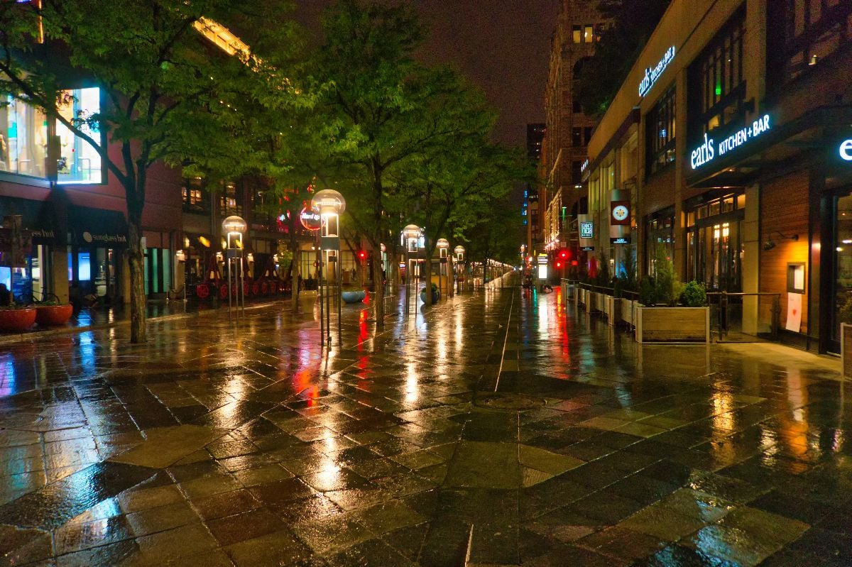Wet pavement reflecting night lights.
