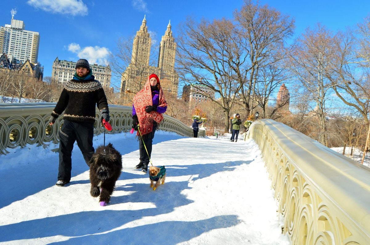 People walk their dogs over the Bow Bridge in Central Park on winter.