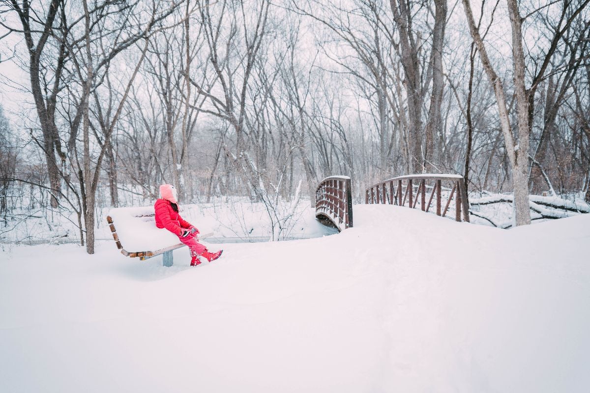 Waiting for the spring.