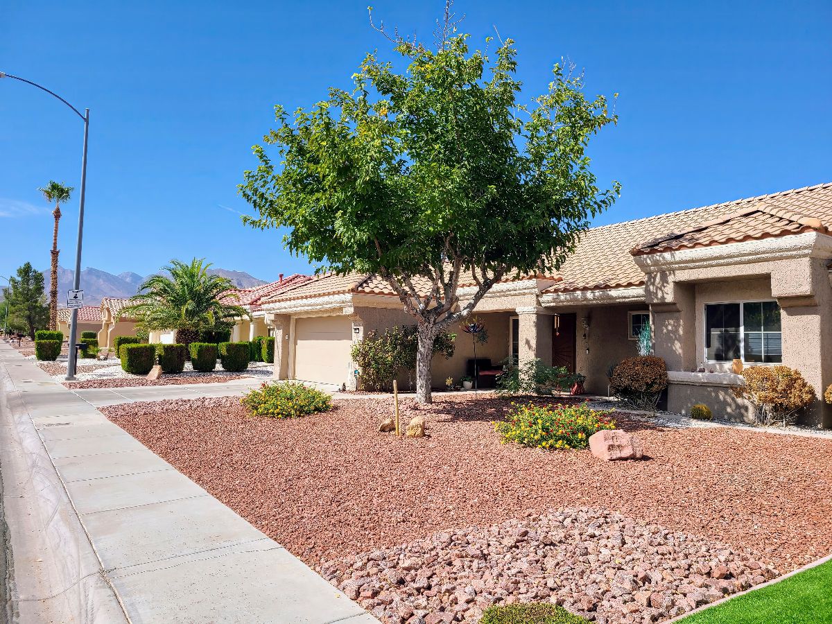 Desert suburban home and landscaping with mountain view.