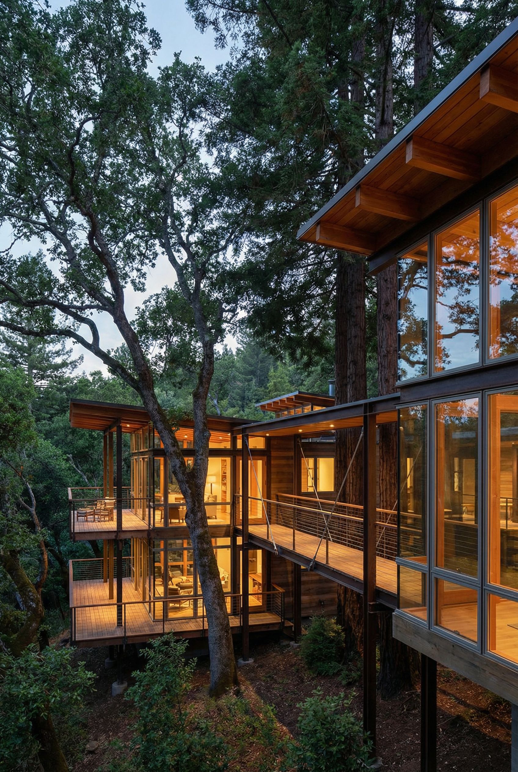 Modern Glass-Walled Multi-Story Tree House