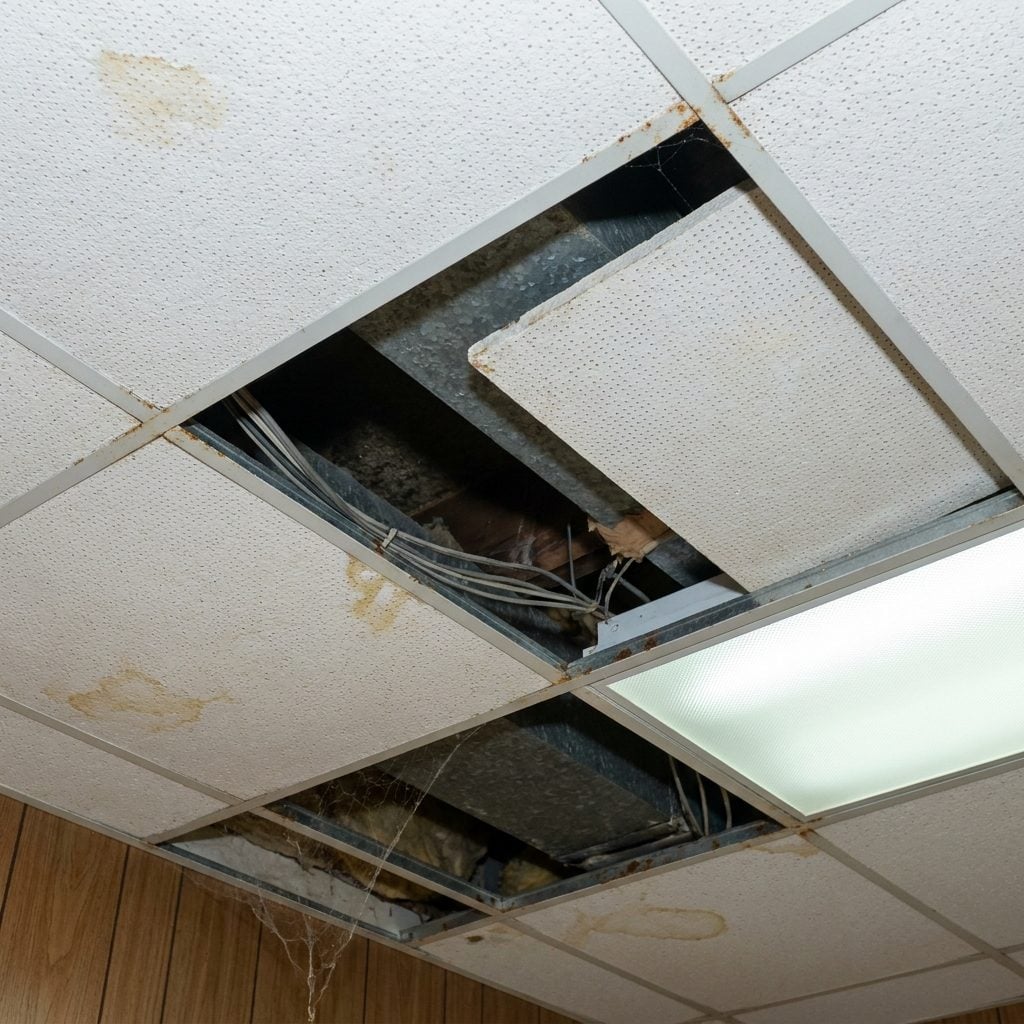 The Paneled Ceiling with One Tile You Could Push Up to Hide Things