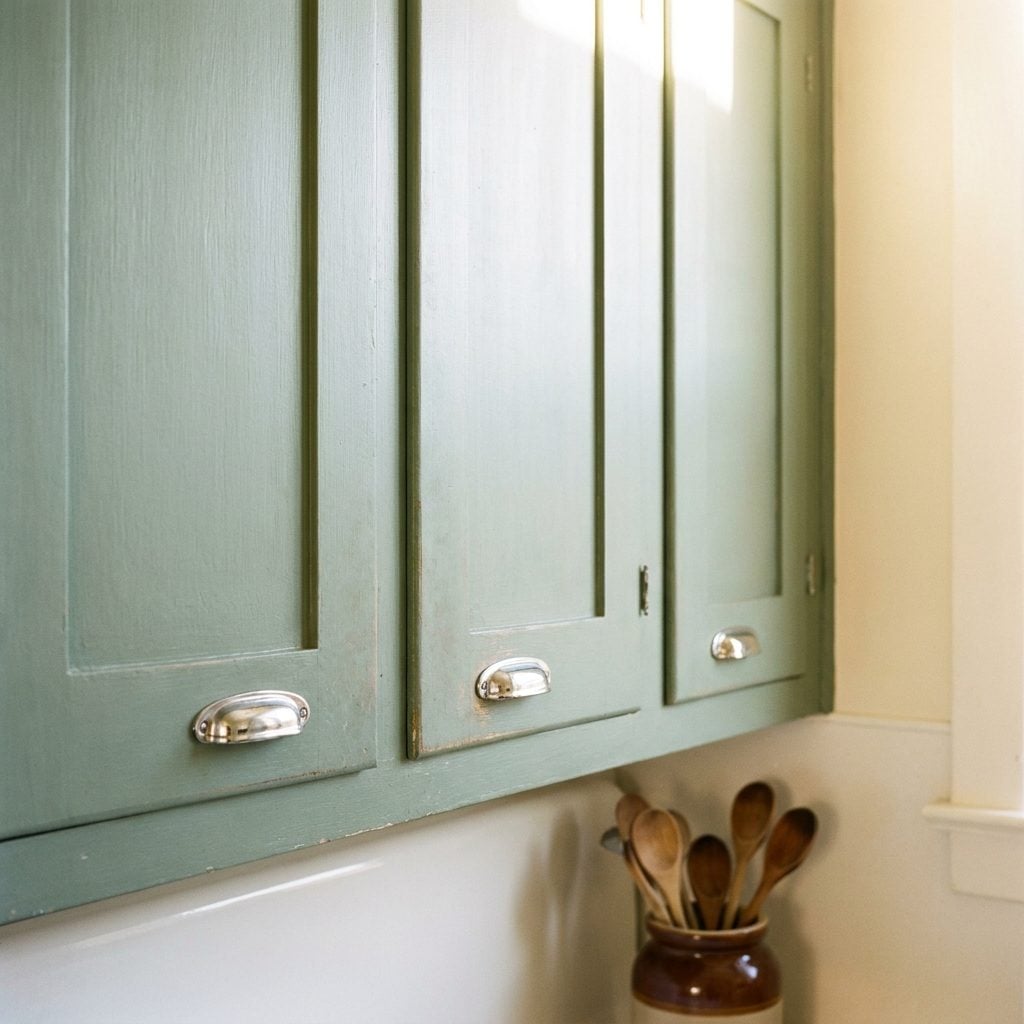 The Specific Shade of Green That Signals Competence Without Anyone Knowing Why