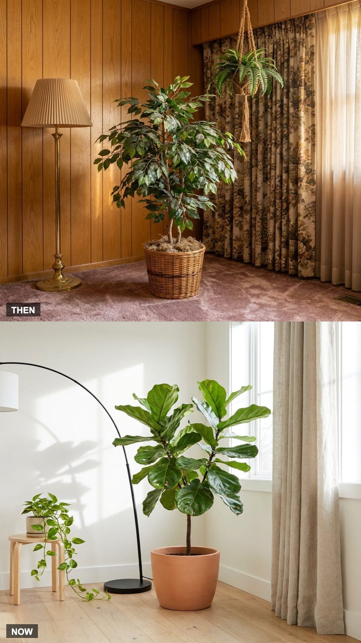 Decorative Faux Plants vs. Real Houseplants