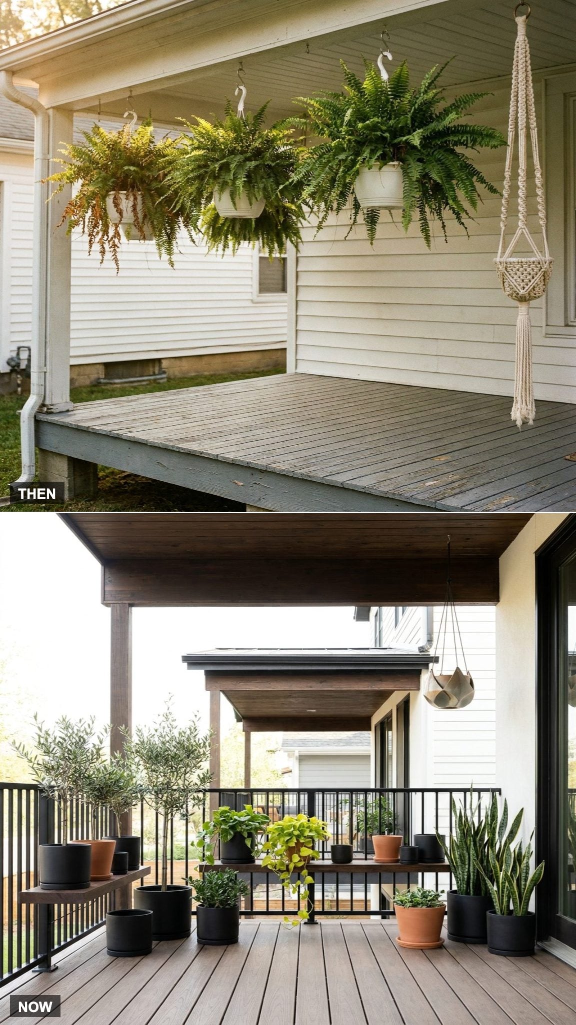 Hanging Ferns vs. Curated Planter Collections