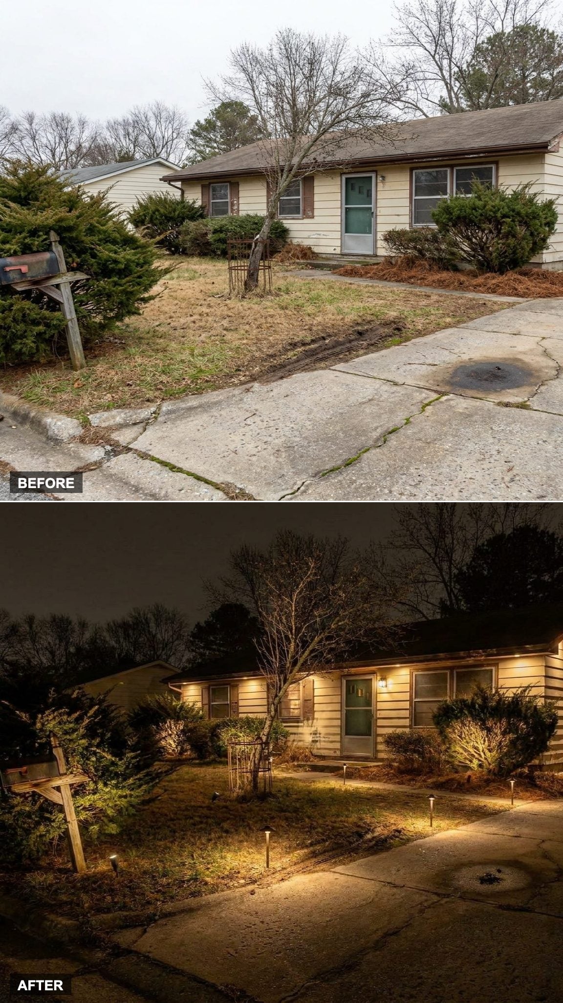 Luxury Nighttime Curb Appeal with Uplighted Trees and Illuminated Pathways