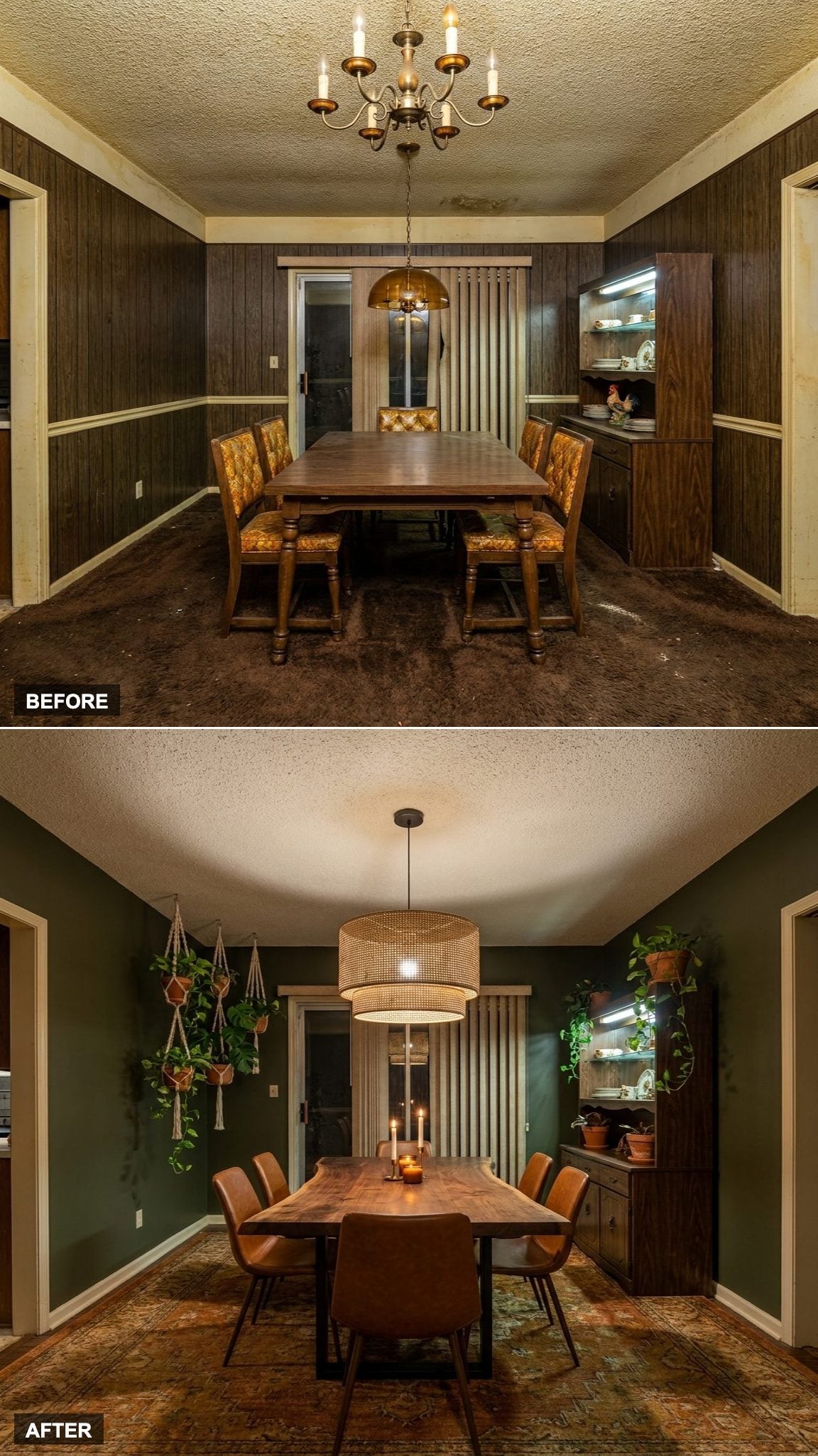 Moody Biophilic Retreat with Dark Olive Walls, Live-Edge Wood, and Hanging Botanicals