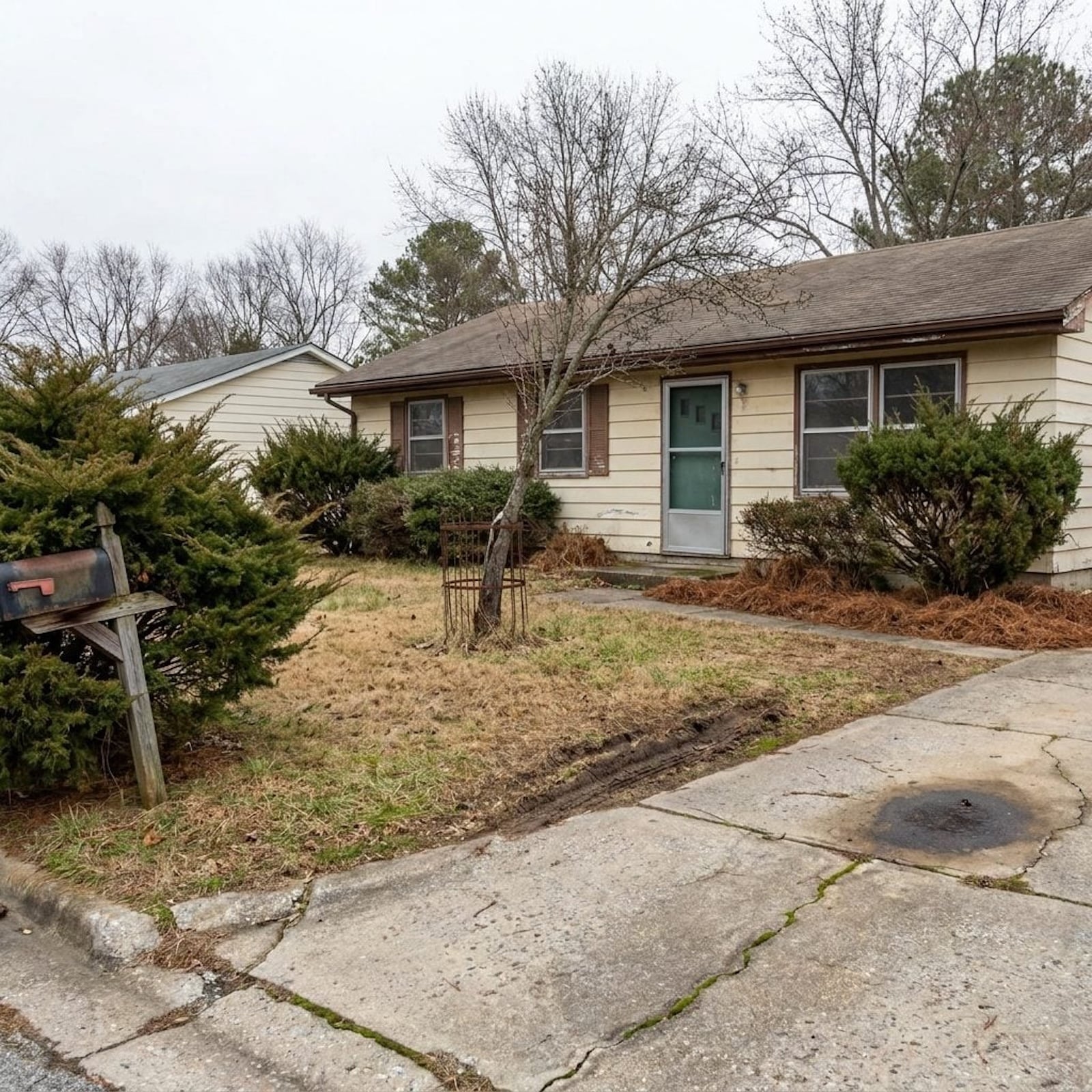 Overgrown front yard redesigned in multiple landscaping styles
