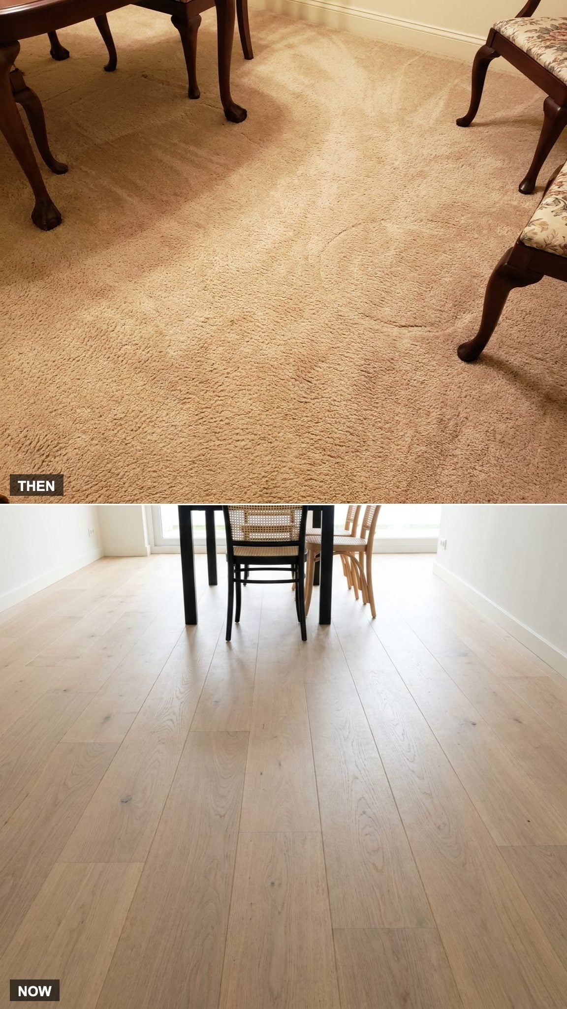 Beige Plush Carpet Ran Wall to Wall Under the Table