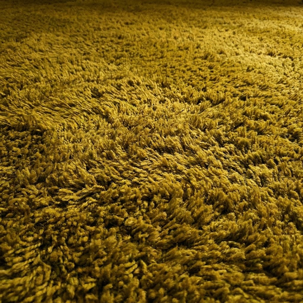 Wall-to-Wall Carpet in Colors That Were Once Bold