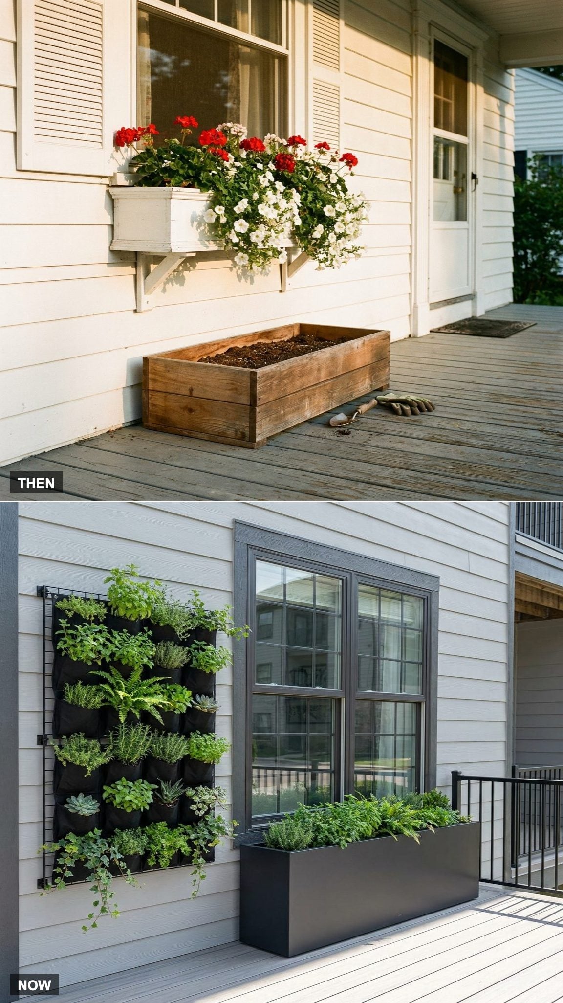Window Flower Boxes vs. Vertical Gardens
