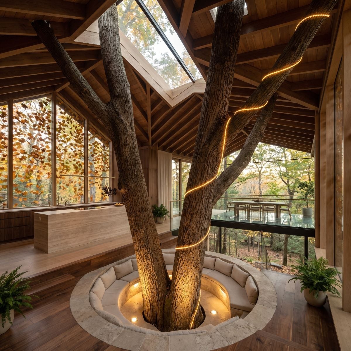 Sunken Seating, a Live Trunk, and Skylights That Pull the Canopy In