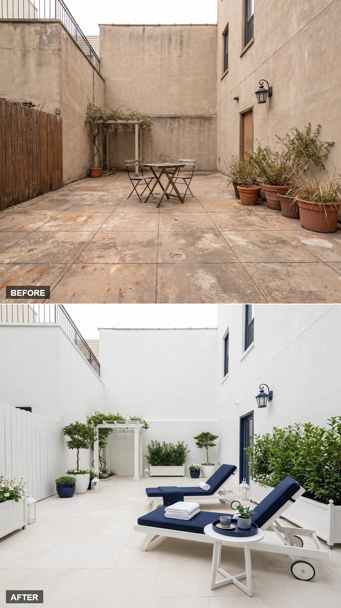 Sun Loungers, Topiary Standards, and a Pergola That Finally Has Real Company